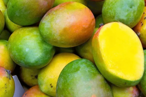 PB-1-Getting-More-Value-from-Mangoes
